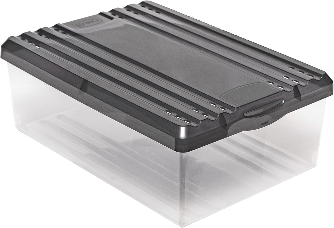 BranQ - Home essential Schuhbox Shoe Box mit Belüftungshaltelöcher und Deckel Kunststoff, 8l, Set vo