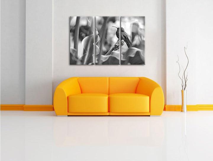 Pixxprint Kolibri in seinem Lebensraum als Leinwandbild/Grösse: 3 Teilig (120x80) / Wandbild/Kunstdr