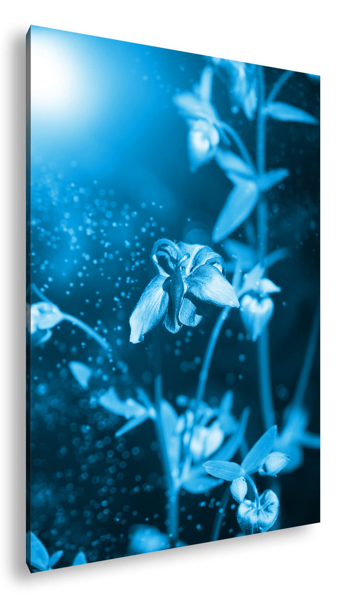 deyoli exotische Wildblume Format: 100x70 Effekt: Monocrome Blau als Leinwandbild, Motiv fertig gera