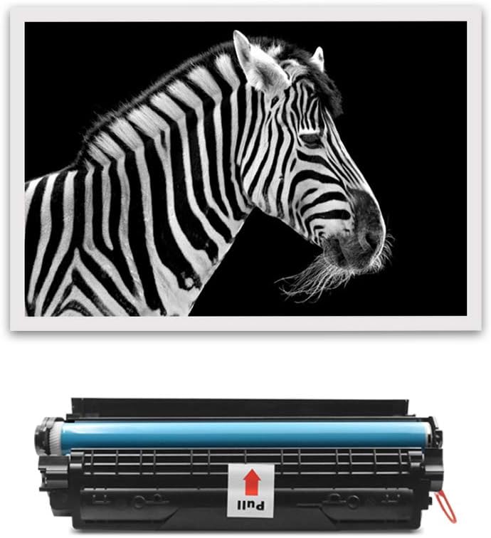 ZOOMTEC CE285A 85A Tonerkartusche für HP Laserjet Pro P1102 P1102w P1100 M1130 M1132 M1132mfp M1212
