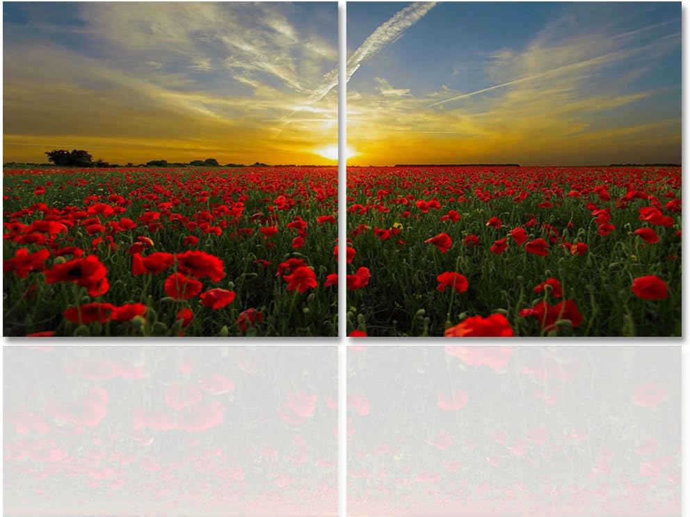 Feeby. Wandbilder - 2 Teile - 140x70 cm - quadratische Form Bilder Kunstdrucke Deko Panel MOHN, SONN
