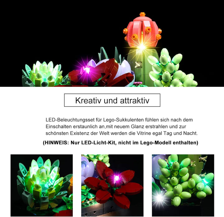 Led Licht Set für 10309 Icons Sukkulenten (Nur Lichter-Set,kein Lego-Modell) Dekorations Beleuchtung