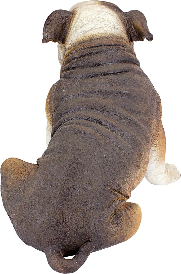 Design Toscano Buster die Bulldogge Britische Gartenstatue, Polyresin, vollfarbe, 40.5x35.5x35.5 cm,