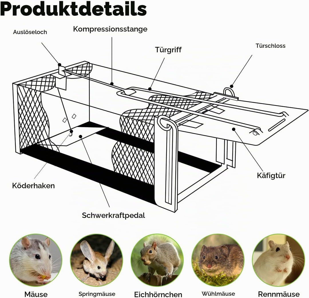 Lebendfalle Mausefalle, XXL Premium Rattenfalle Hochsensitive Mäuse-Futterfalle, Tierfreundlich &amp; Wi