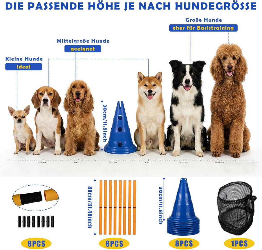 Cavaletti Stangen Hund Agility Set Hunde Klein Gross 30 cm Hoch, Sports Steckhürdenset mit 8 Kegel 1