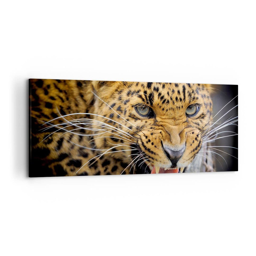 Wandbilder Dekoration Wohnzimmer Leopard tier savanne afrika Panorama Bilder auf Leinwand 120x50cm L