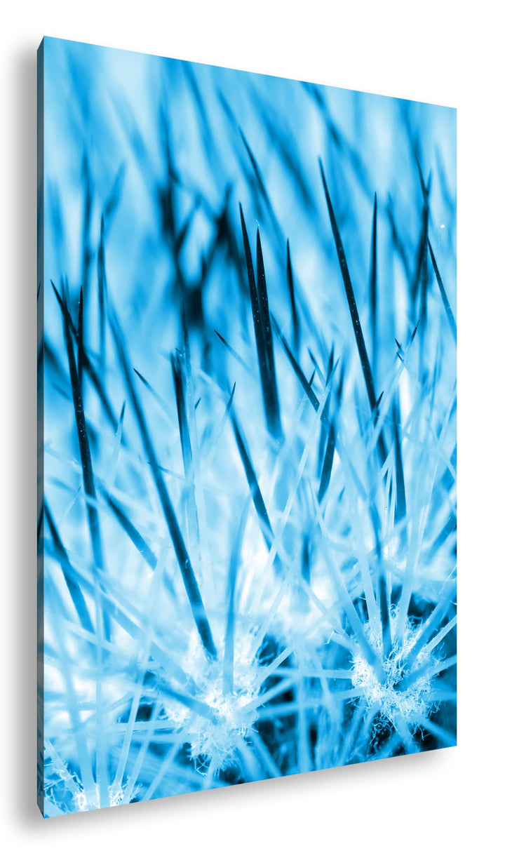 deyoli Nadeln eines Kaktus Format: 80x60 Effekt: Monocrome Blau als Leinwand, Motiv fertig gerahmt a