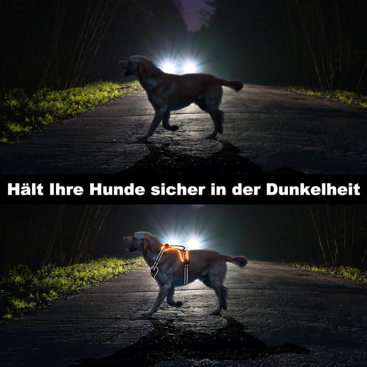 Leuchtgeschirr für Hunde Wiederaufladbares Leuchtendes Hundegeschirr Gepolstert Reflektierend Brustg