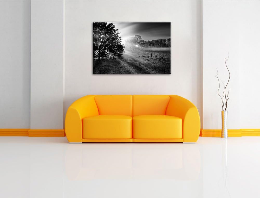 schöne Lichtung im Wald schwarz/weiss Format: 100x70 auf Leinwand, XXL riesige Bilder fertig gerahmt