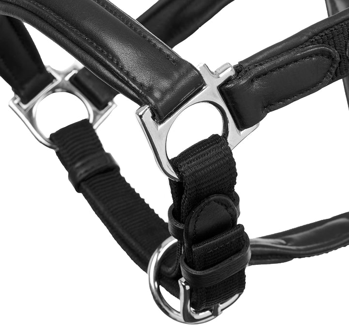 LeMieux Capella Headcollar Halfter Cob Schwarz, Cob Schwarz