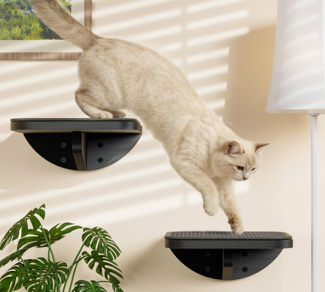 Katzen Kletterwand, Katzenleiter 2er-Set mit Kratzmatte, Wandmontiertes Kiefernholz Katzentreppe Wan