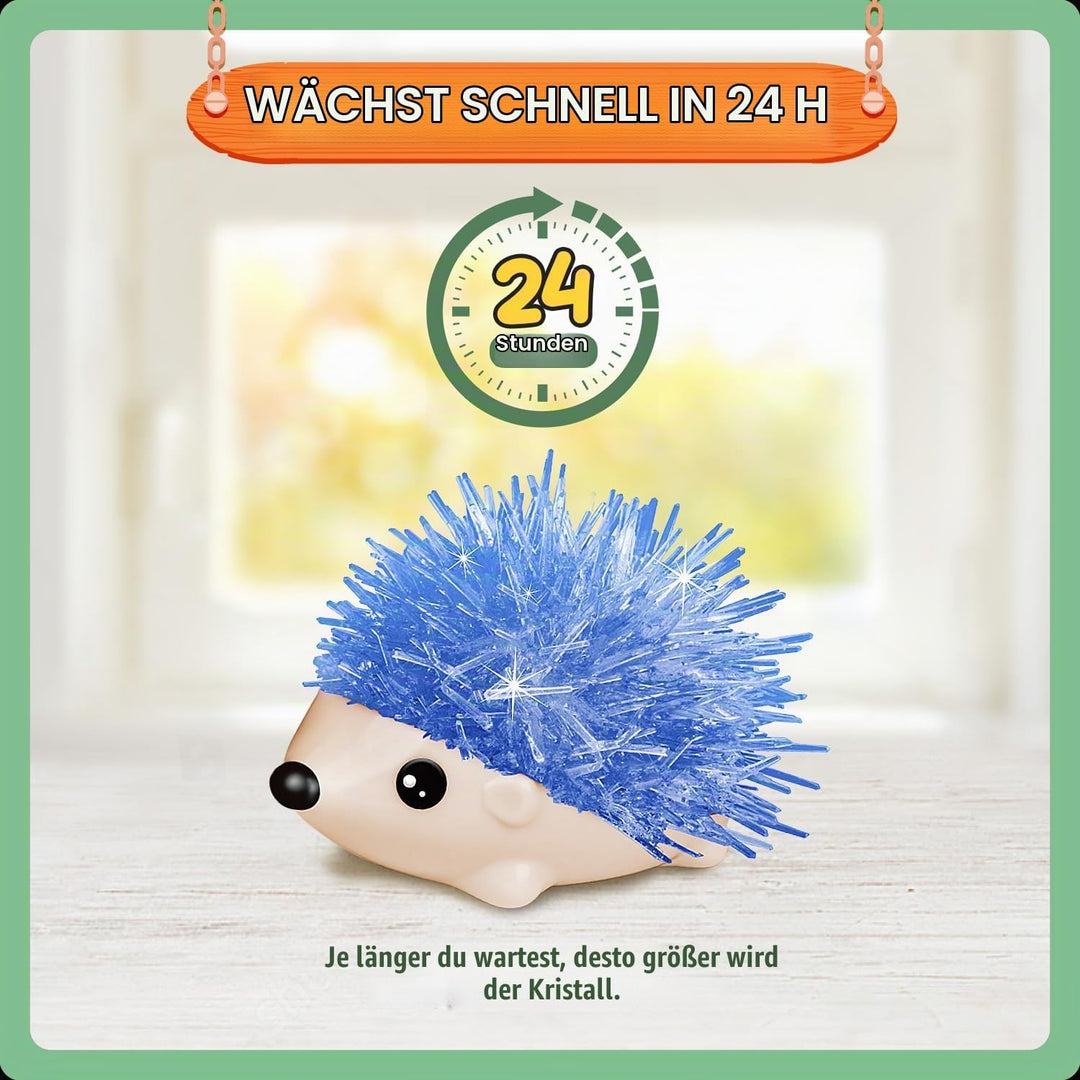 Igel Kristall Zücht Set, 2er Pack Kristall Hedgehog Growing Kit, Experimentierkasten für Kinder ab 8