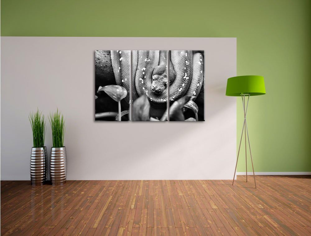 Pixxprint Grüne Schlange, gelbe Augen, als Leinwandbild/Grösse: 3 Teilig (120x80) cm/Wandbild/Kunstd