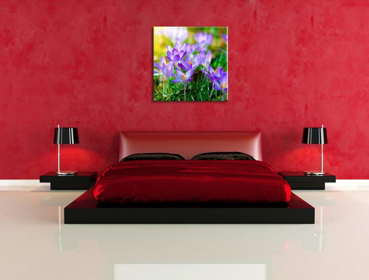 Pixxprint Schöne Krokusse, Format: 70x70 auf Leinwand, XXL riesige Bilder fertig gerahmt mit Keilrah