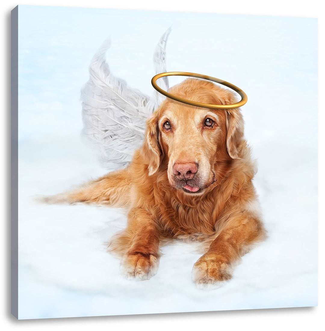 Pixxprint Hundeengel auf Wolke# als Leinwandbild/Grösse: 70x70 cm/Wandbild/Kunstdruck/fertig bespann