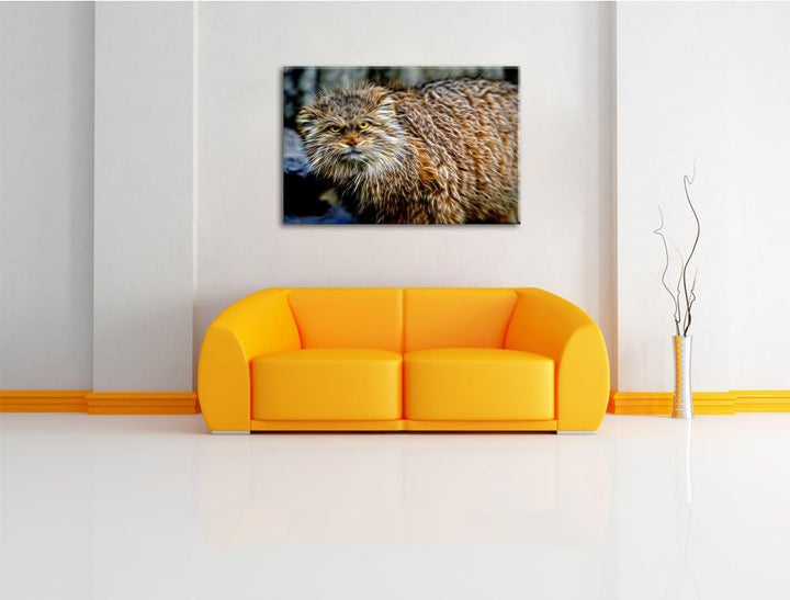 wütende Manul Deluxe Format: 100x70 cm auf Leinwand, XXL riesige Bilder fertig gerahmt mit Keilrahme
