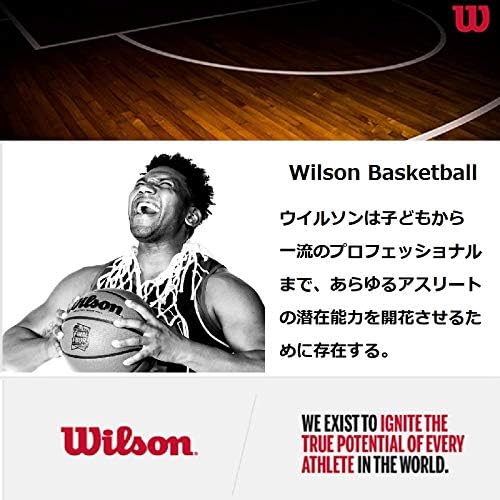 Wilson NBA Team Autograph Mini Basketball Washington Wizards, Washington Wizards