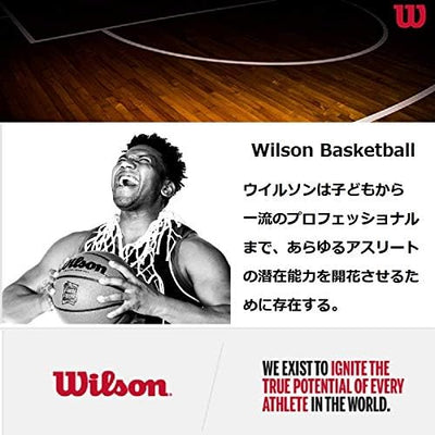 Wilson Unisex-Adult NBA Team Composite Basketball 7 Boston Celtics, 7 Boston Celtics