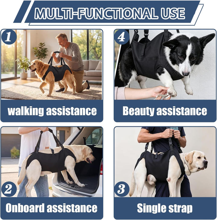 Tragehilfe Hund Hundegeschirr Hunde Tragehilfe für Grosse - XL | Hunde Tragehilfe für Mittelgrosse G