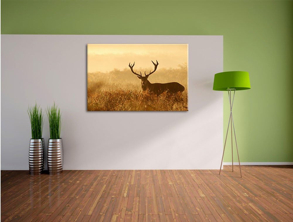 Pixxprint Rotwild Hirsch in Abenddämmerung als Leinwandbild/Grösse: 100x70 cm/Wandbild/Kunstdruck/fe