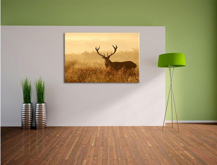 Pixxprint Rotwild Hirsch in Abenddämmerung als Leinwandbild/Grösse: 100x70 cm/Wandbild/Kunstdruck/fe