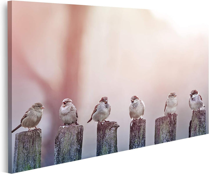 islandburner Bild auf Leinwand Spatzen Sonnenlicht Pfähle Bilder Wandbilder Poster, 80L x 40B cm