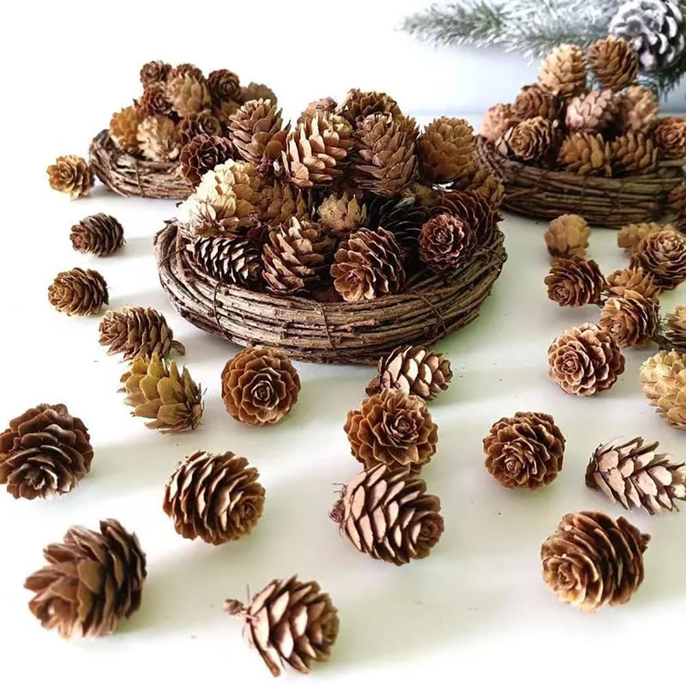 FSSTUD Tannenzapfen Mini Xmas Tannenzapfen Dekorationen 150 Stück 1-2 cm Winter Füllstoffe Ornamente