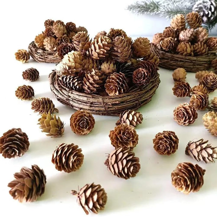 FSSTUD Tannenzapfen Mini Xmas Tannenzapfen Dekorationen 150 Stück 1-2 cm Winter Füllstoffe Ornamente
