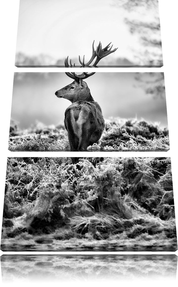 Pixxprint Monocrome, Stolzer Hirsch 3-Teiler Leinwandbild 120x80 Bild auf Leinwand