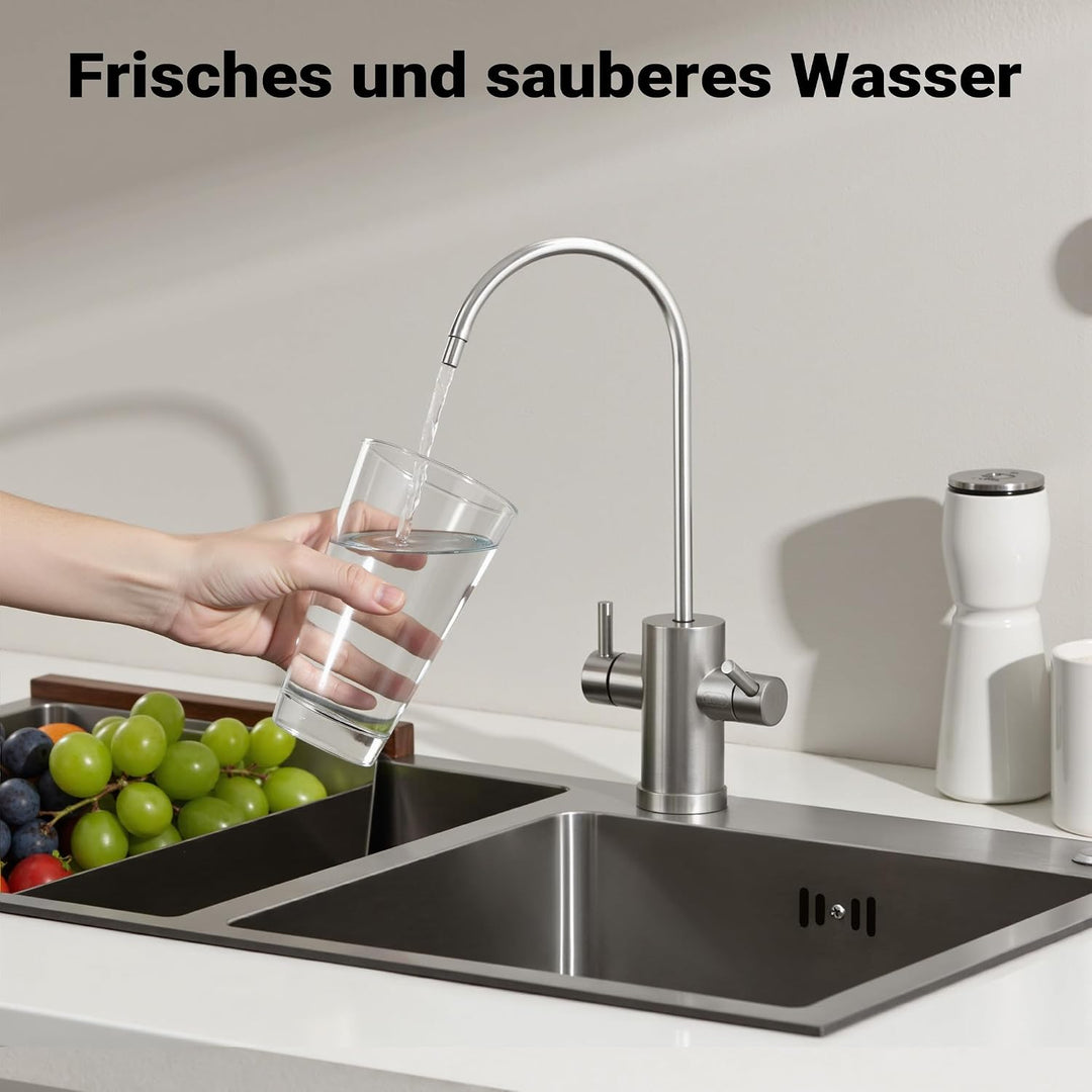 Naturewater Wasseraufbereitungsanlage 1000 l/h, Wasserfilter mit 6,5 l-Filterelement aus Aktivkohle,