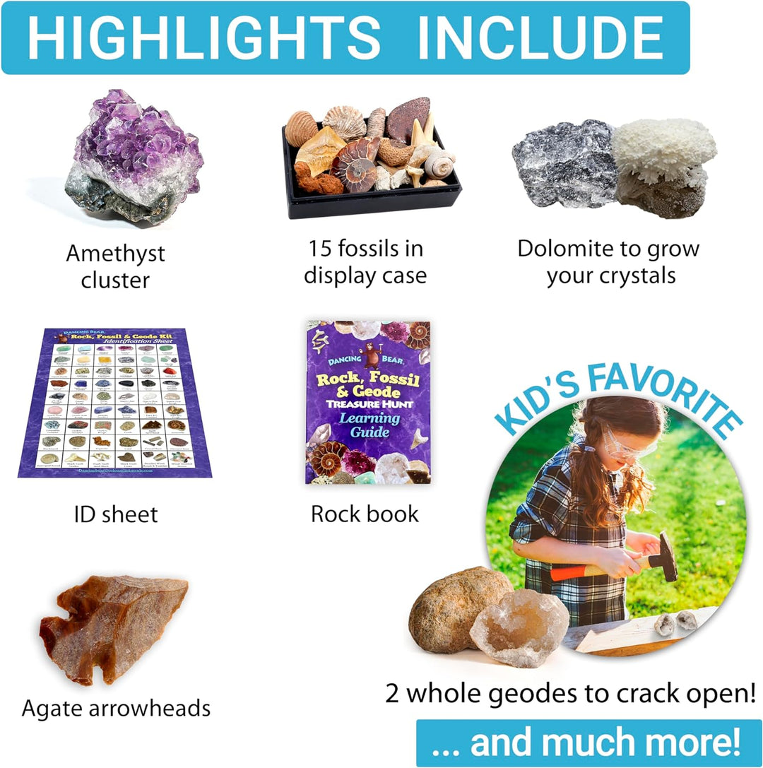 Dancing Bear's Rocks and Minerals Rock & Mineral Collection Kit mit 2 Easy Pause Geodes Activity Kit