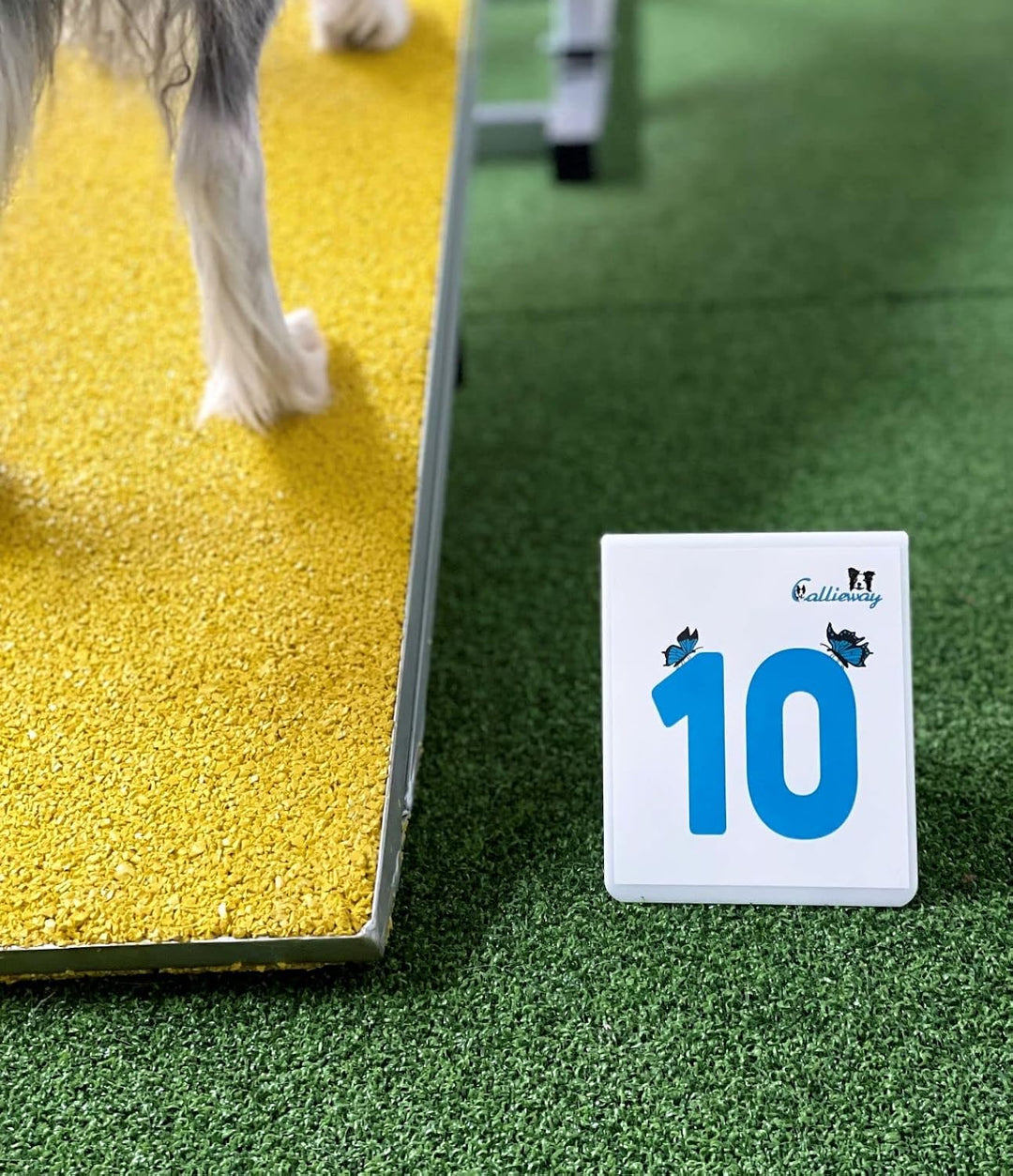 Callieway Agility Parcoursnummern Blue Butterfly Nummernschilder - durchnummeriertes Klebeset 1-25 B