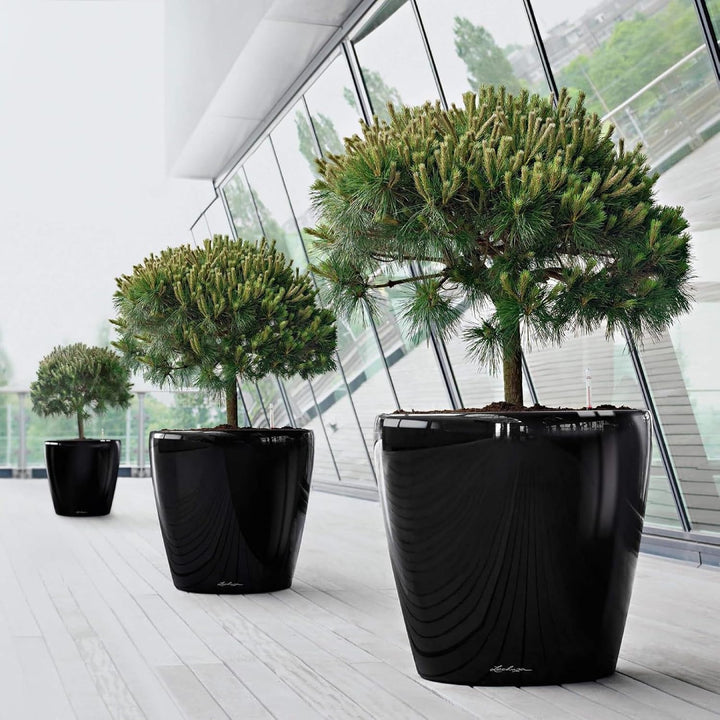 LECHUZA CLASSICO Premium LS 50 schwarz hochglanz 16109 49.5x49.5x46.5 cm Schwarz Hochglanz Einzel, 4