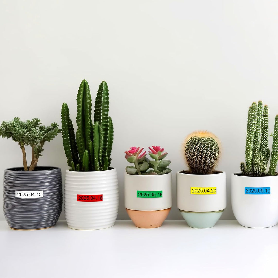 Exsun 6er-Pack Kompatibel TZe-211 TZe-111 TZe-411 TZe-511 TZe-611 TZe-711 als Ersatz für Brother Tze