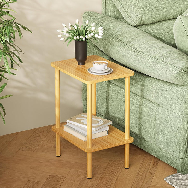 APICIZON Beistelltisch Holz, 2 Tier Nachttisch Schmal, 40x30x52cm, Beistelltisch Klein mit Stauraum,