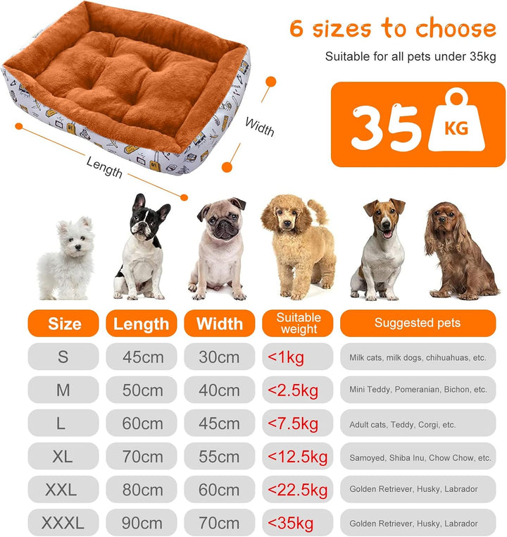 PETCUTE Haustierbett Hundesofa,Waschmaschinenfest Orthopädisches Hundebett für Kleine Hunde,Rutschfe