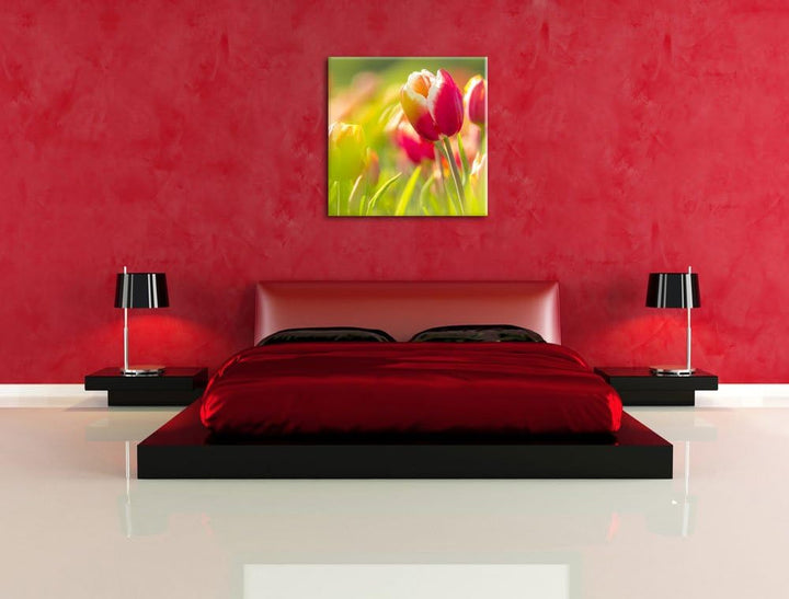 Blühende rote Tulpen, Format: 70x70 auf Leinwand, XXL riesige Bilder fertig gerahmt mit Keilrahmen,