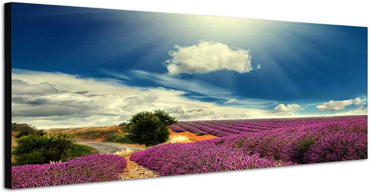 Paul Sinus Art Panoramabild auf Leinwand und Keilrahmen 150x50cm Lavendelfeld Natur Himmel Sonnenstr
