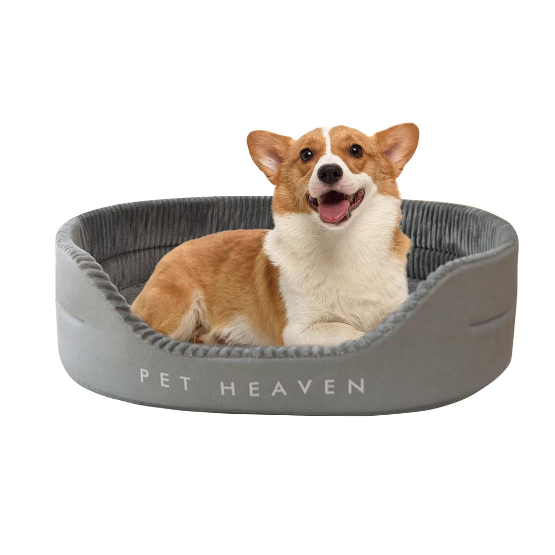 PETCUTE Hundebett für Mittlere Hunde,Orthopädisch Haustierbett für kleine und mittelgrosse Hunde und
