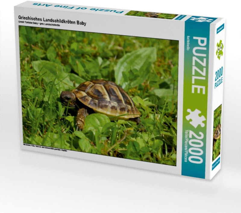 CALVENDO Puzzle Griechisches Landschildkröten Baby 2000 Teile Lege-Grösse 90 x 67 cm Foto-Puzzle Bil