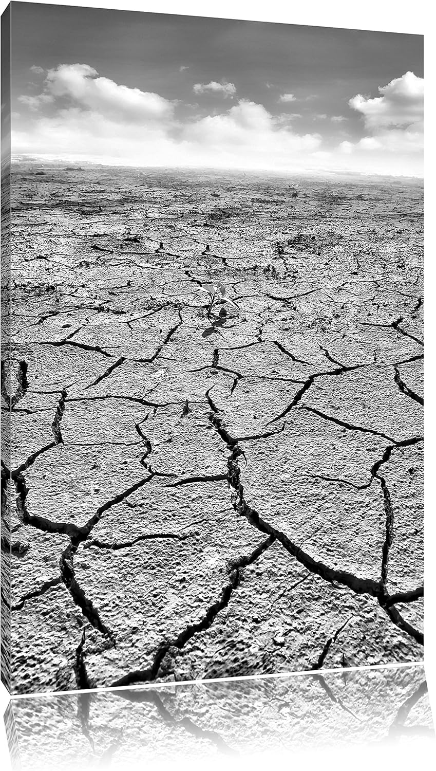 Pixxprint Monocrome, Rissiger Wüstenboden, Format: 100x70 auf Leinwand, 100x70