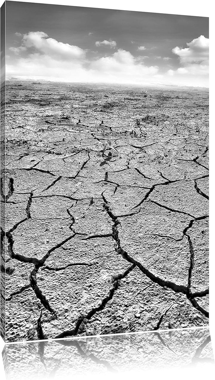 Pixxprint Monocrome, Rissiger Wüstenboden, Format: 100x70 auf Leinwand, 100x70