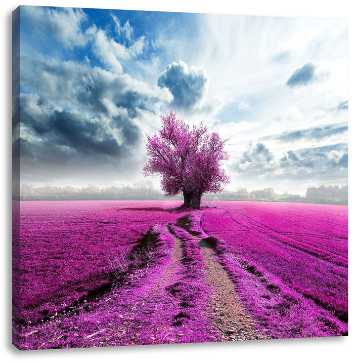 Pixxprint Pinkes Feld mit pinkem Baum / 70x70cm Leinwandbild bespannt auf Holzrahmen/Wandbild Kunstd