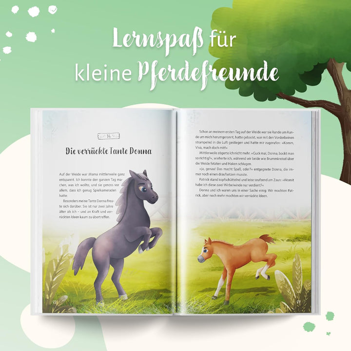 Vivas Tagebuch: Meine ersten Abenteuer mit dem verrückten Menschenfreund