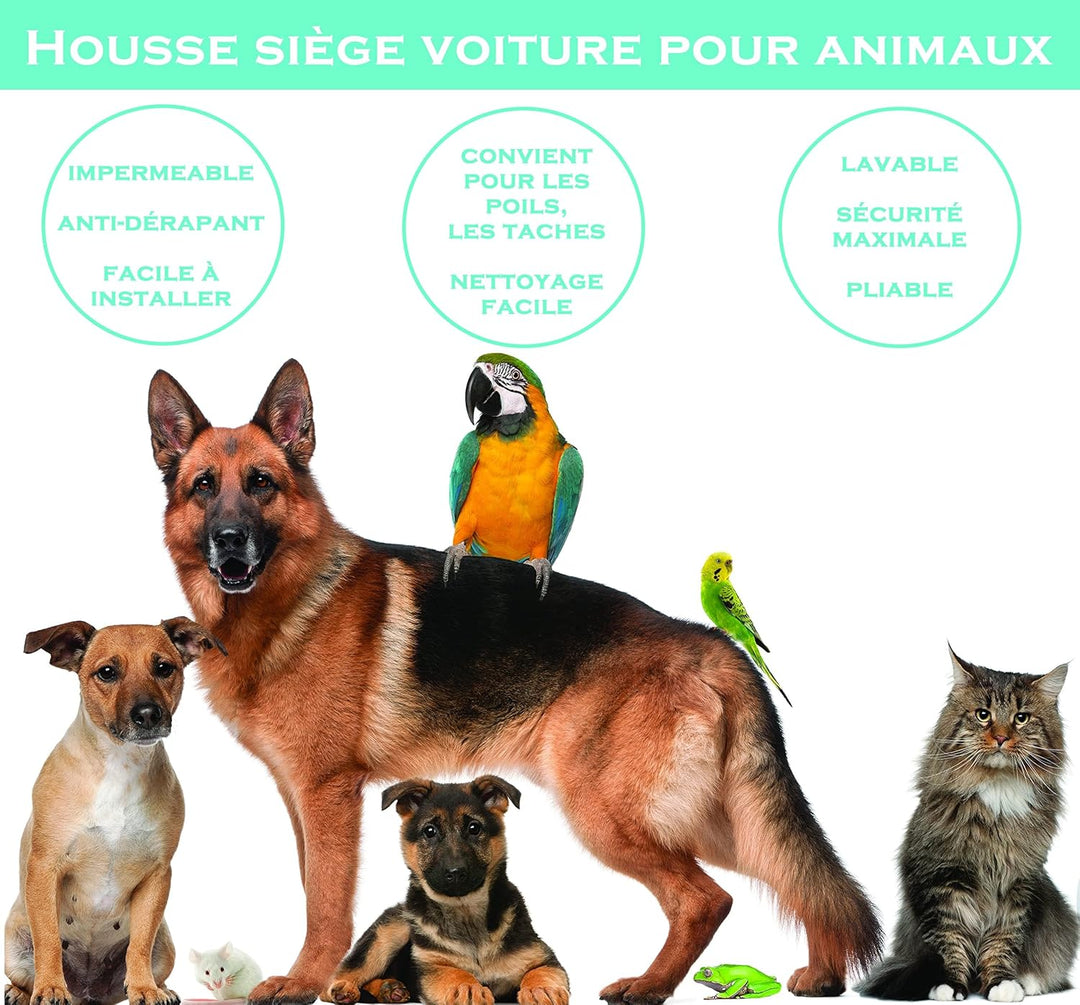PARENCE. - Autositzbezug für Hunde – Schutzmatte für Haustiere, wasserdicht, wasserdicht – Anti-Schm