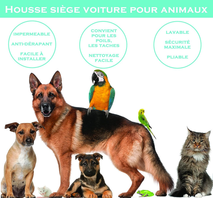 PARENCE. - Autositzbezug für Hunde – Schutzmatte für Haustiere, wasserdicht, wasserdicht – Anti-Schm