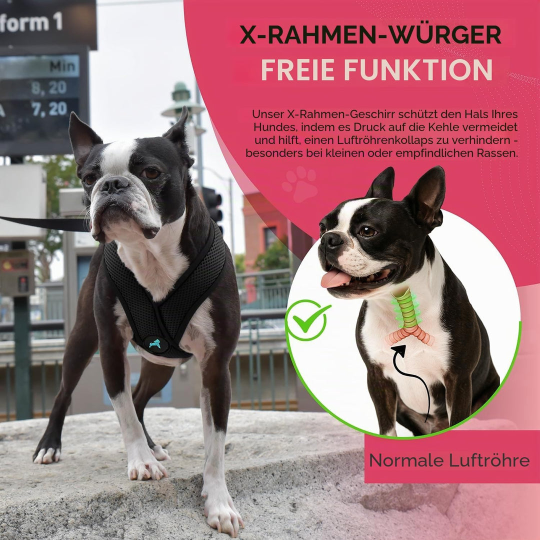 Gooby Choke Free Comfort X Hundegeschirr, weich, Grösse S, Schwarz 11.75-15.5" schwarz, 11.75-15.5"