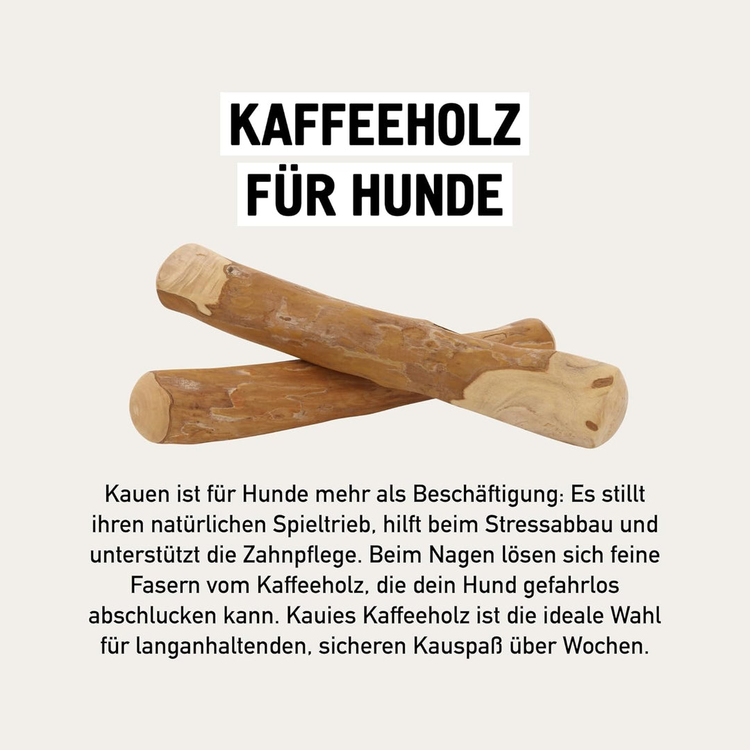 Kaffeeholz für Hunde mit Olivenöl - Hundespielzeug 100% natürlich, vegan, koffeinfrei & kalorienfrei