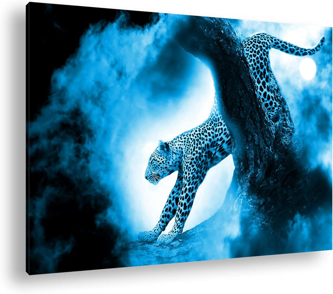 deyoli exotischer Gepard im Mondschein Format 80x60 Effekt: Monocrome Blau als Leinwandbild, Motiv f