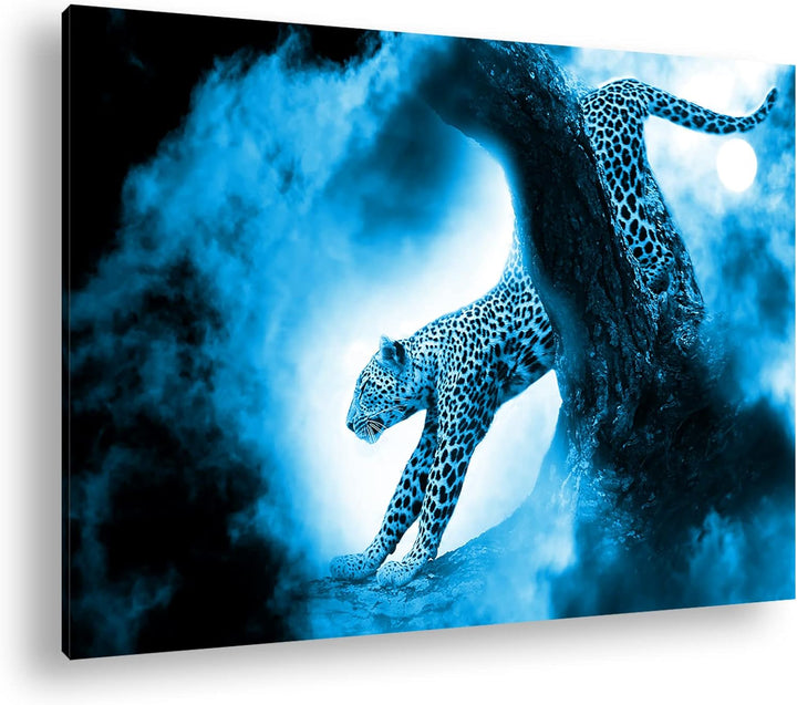 deyoli exotischer Gepard im Mondschein Format 80x60 Effekt: Monocrome Blau als Leinwandbild, Motiv f